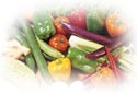 veg.jpg (3240 字节)
